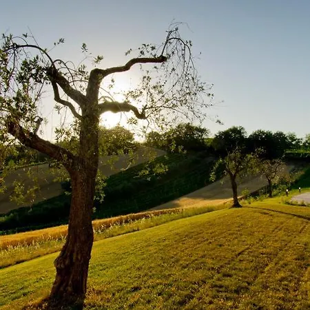 Il Maniero Nocleg ze śniadaniem Mazzangrugno